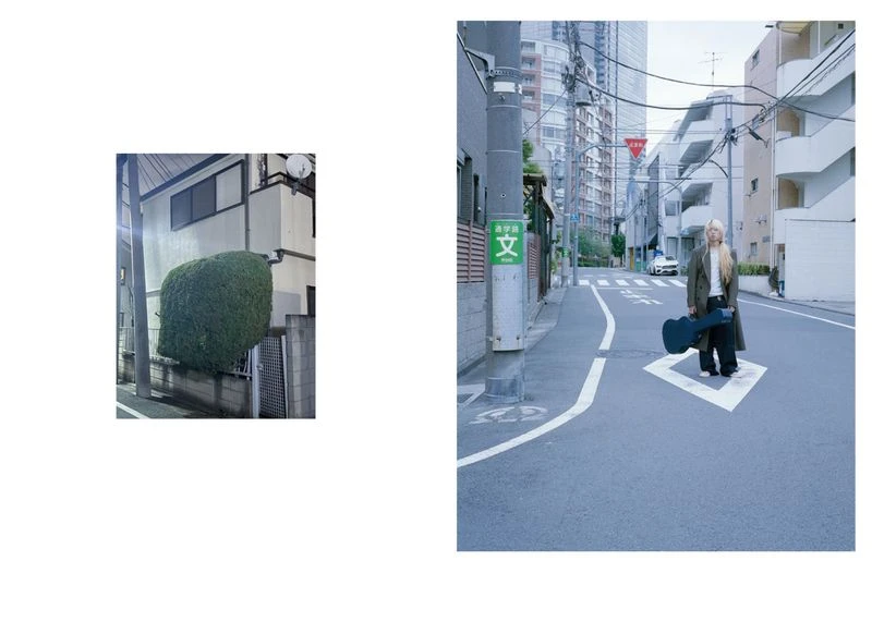 Seeing Itself x Sunflower x Space