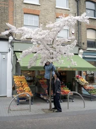 Vowels F/W 25 Lookbook