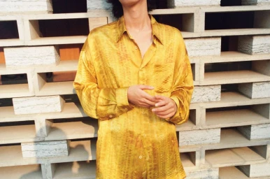 ZARA x Fanglu Lin Collection