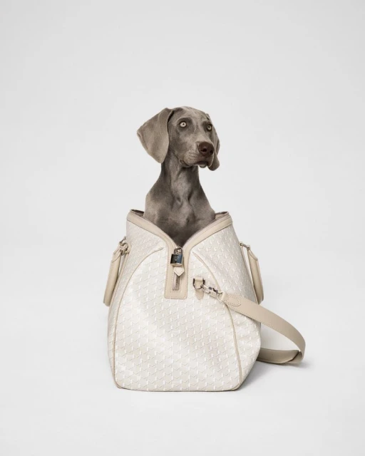 Moynat Pet Collection