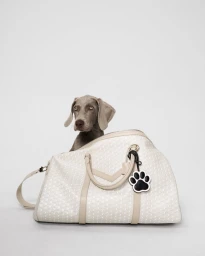 Moynat Pet Collection