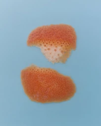 NONFICTION Beauty Eau de Parfum For Rest with Open Arms