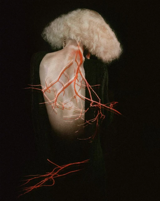 ELIZAVETA PORODINA - SILENT DREAMS