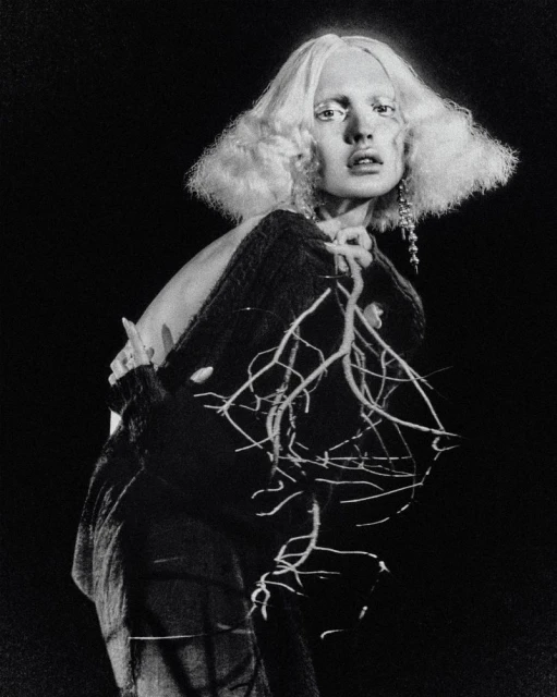 ELIZAVETA PORODINA - SILENT DREAMS