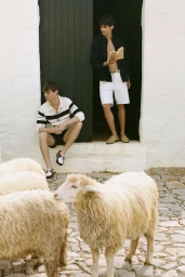 Zara x Castellano 1920