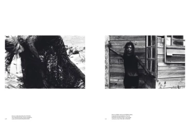 The sun cannot Bleach it , Nor the Tide wash it away