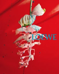 Loewe SS26 Teasers