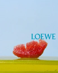 Loewe SS26 Teasers