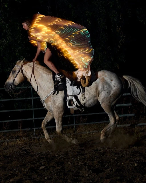 Daniel Roseberry's Lone Star