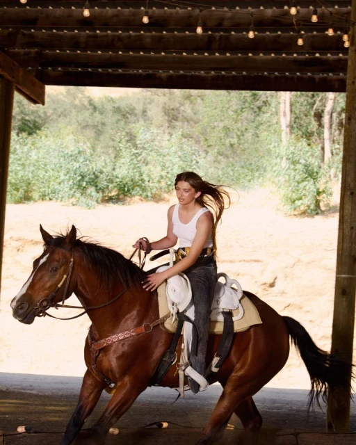 Daniel Roseberry's Lone Star