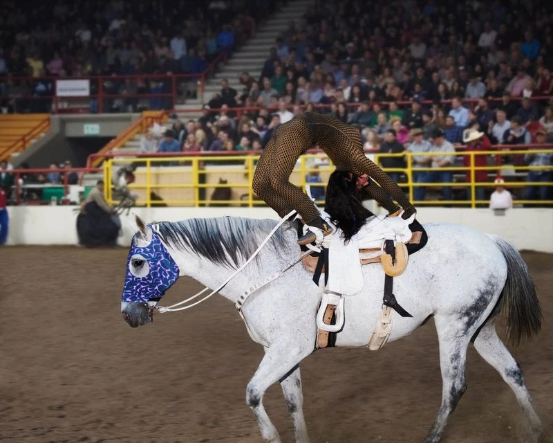 Daniel Roseberry's Lone Star