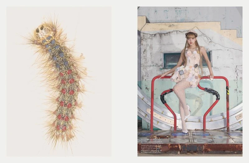 AnOther Magazine Autumn/Winter 2025 Cover Story