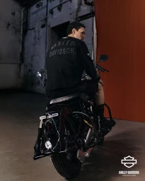 Harley Davidson International SS25