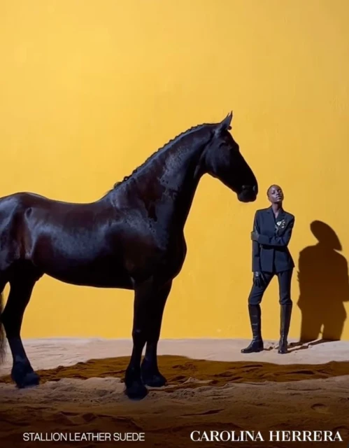 Carolina Herrera Stallion Leather Suede parfum