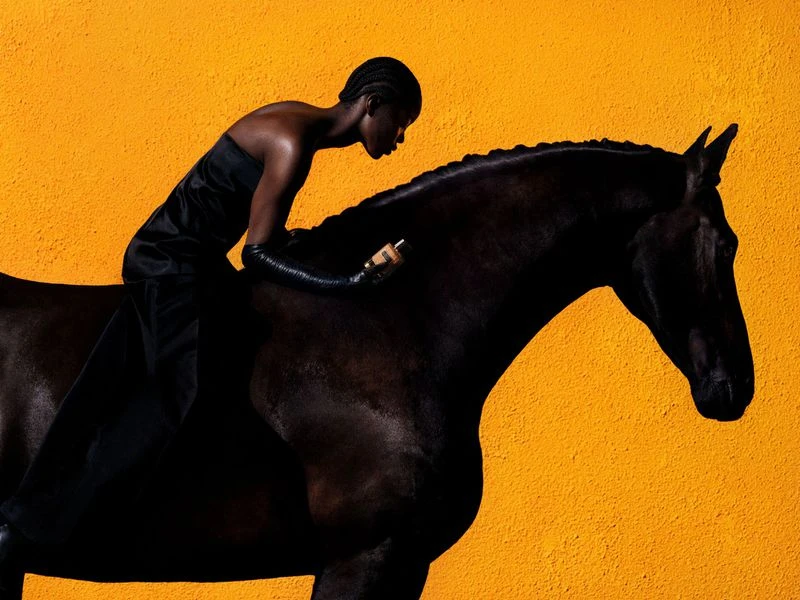 Carolina Herrera Stallion Leather Suede parfum