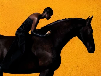 Carolina Herrera Stallion Leather Suede parfum