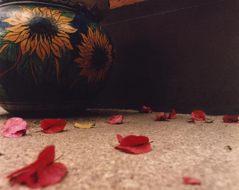 Samuel Ellis Scheinman